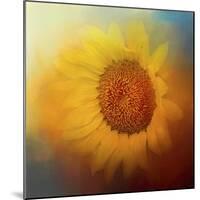 Sunflower Surprise-Jai Johnson-Mounted Giclee Print