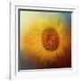 Sunflower Surprise-Jai Johnson-Framed Giclee Print