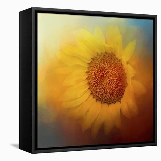 Sunflower Surprise-Jai Johnson-Framed Stretched Canvas
