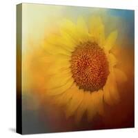 Sunflower Surprise-Jai Johnson-Stretched Canvas