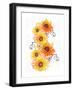 Sunflower Swirls-Bee Sturgis-Framed Art Print