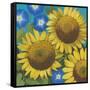 Sunflower Time-Kathrine Lovell-Framed Stretched Canvas