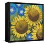 Sunflower Time-Kathrine Lovell-Framed Stretched Canvas