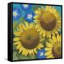 Sunflower Time-Kathrine Lovell-Framed Stretched Canvas