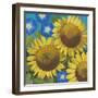 Sunflower Time-Kathrine Lovell-Framed Art Print