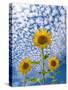 Sunflower Triad-Michael Blanchette-Stretched Canvas