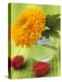 Sunflower (Variety Teddy Bear) in Glass Vase, Chinese Lanterns-Vladimir Shulevsky-Stretched Canvas