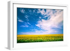 Sunflower with Blue Sky and Beautiful Sun / Sunflower-Ruslan Ivantsov-Framed Photographic Print