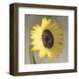 Sunflower-Erin Clark-Framed Art Print