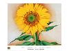 Sunflower-Georgia O'Keeffe-Framed Art Print