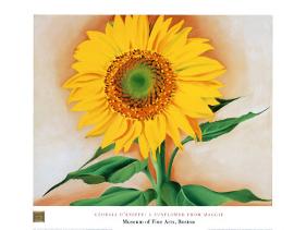 Sunflower-Georgia O'Keeffe-Framed Art Print