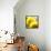Sunflower-Nicole Katano-Framed Stretched Canvas displayed on a wall