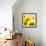 Sunflower-Nicole Katano-Framed Photo displayed on a wall