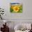 Sunflower-null-Stretched Canvas displayed on a wall