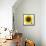 Sunflower-null-Framed Stretched Canvas displayed on a wall