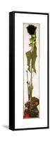 Sunflower-Egon Schiele-Framed Stretched Canvas