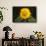 Sunflower-DLILLC-Framed Stretched Canvas displayed on a wall