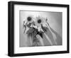 Sunflower-Anna Miller-Framed Photographic Print