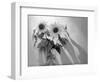 Sunflower-Anna Miller-Framed Photographic Print