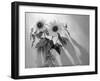 Sunflower-Anna Miller-Framed Photographic Print