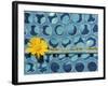 Sunflower-Martin Meyer-Framed Photographic Print