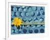 Sunflower-Martin Meyer-Framed Photographic Print