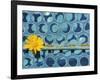 Sunflower-Martin Meyer-Framed Photographic Print