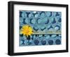 Sunflower-Martin Meyer-Framed Photographic Print