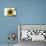 Sunflower-null-Photographic Print displayed on a wall