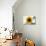 Sunflower-null-Photographic Print displayed on a wall