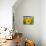 Sunflower-null-Mounted Photographic Print displayed on a wall