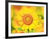 Sunflower-null-Framed Photographic Print