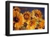 Sunflower-Emma Styles-Framed Art Print
