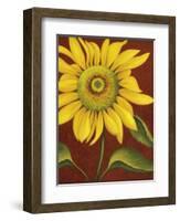 Sunflower-John Zaccheo-Framed Giclee Print