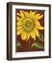 Sunflower-John Zaccheo-Framed Giclee Print