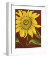 Sunflower-John Zaccheo-Framed Giclee Print