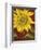 Sunflower-John Zaccheo-Framed Giclee Print