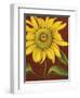 Sunflower-John Zaccheo-Framed Giclee Print