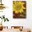 Sunflower-John Zaccheo-Giclee Print displayed on a wall