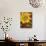 Sunflower-John Zaccheo-Giclee Print displayed on a wall