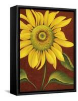 Sunflower-John Zaccheo-Framed Stretched Canvas