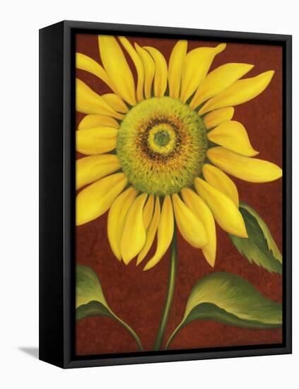 Sunflower-John Zaccheo-Framed Stretched Canvas