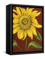 Sunflower-John Zaccheo-Framed Stretched Canvas