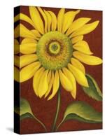 Sunflower-John Zaccheo-Stretched Canvas