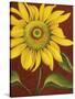 Sunflower-John Zaccheo-Stretched Canvas