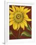 Sunflower-John Zaccheo-Framed Giclee Print