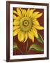 Sunflower-John Zaccheo-Framed Giclee Print