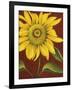 Sunflower-John Zaccheo-Framed Giclee Print