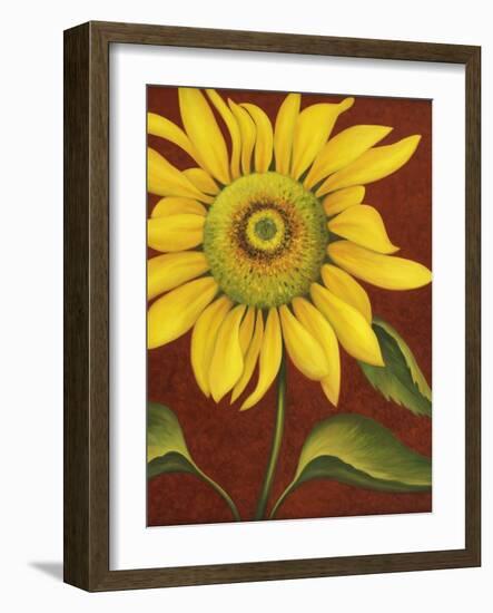 Sunflower-John Zaccheo-Framed Premium Giclee Print