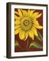 Sunflower-John Zaccheo-Framed Premium Giclee Print